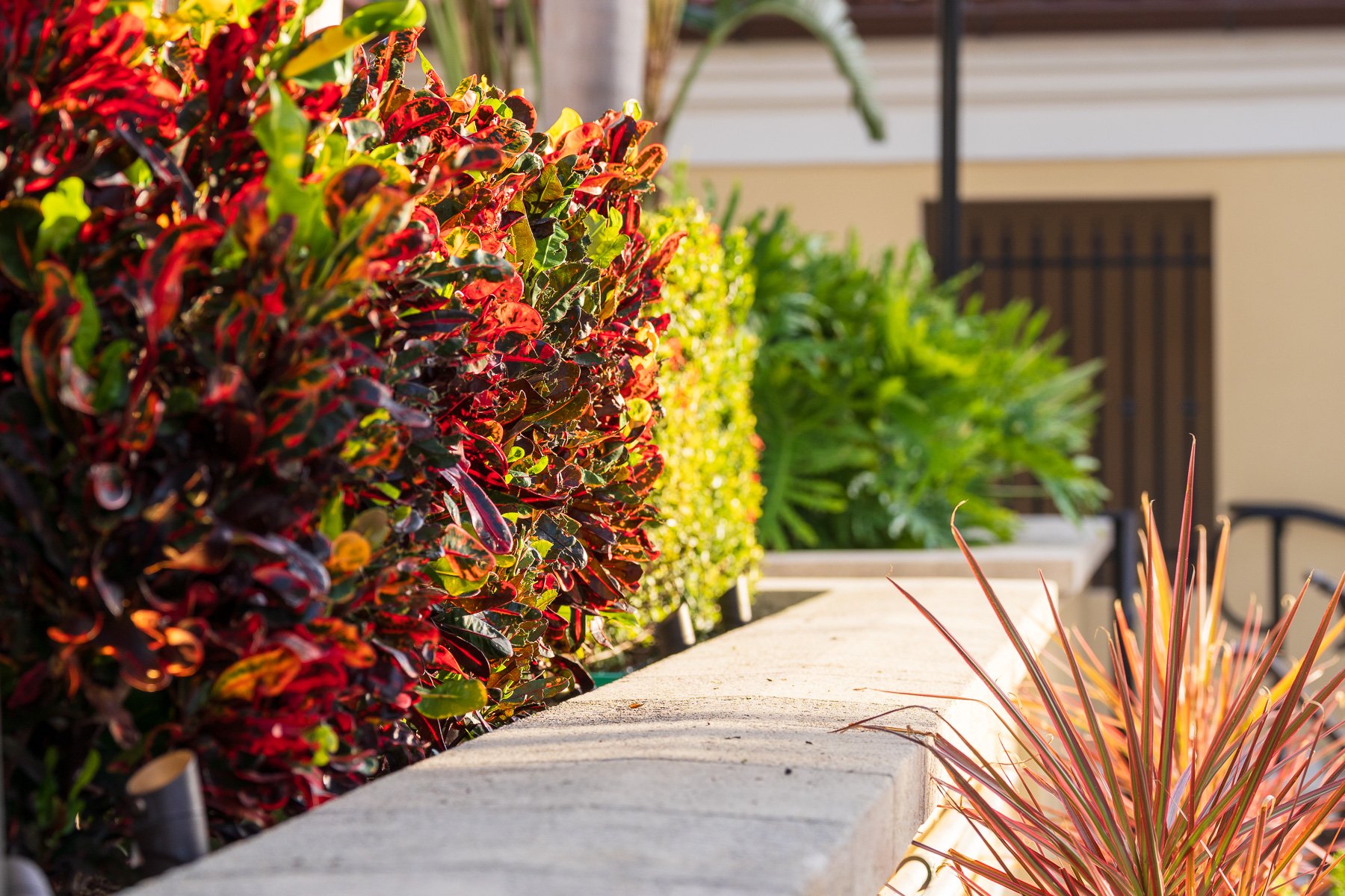 View of Landscaping Improvements That Have the Best ROI for Your HOA